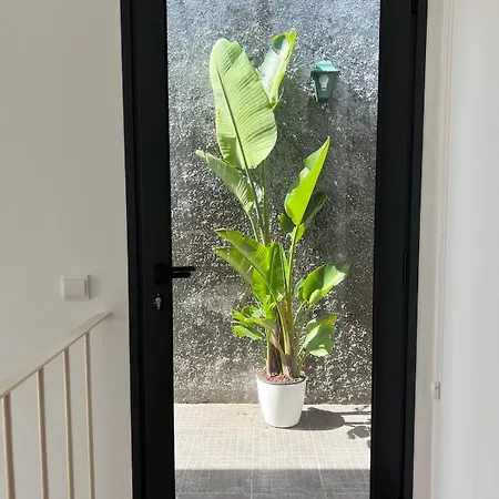 Meerblick - 3-bett Mit Terrassen & Hot-tub Fajã da Ovelha