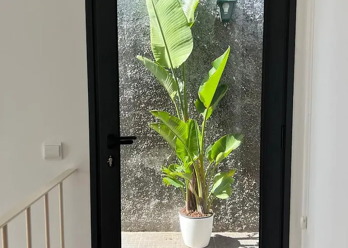 Meerblick - 3-bett Mit Terrassen & Hot-tub Fajã da Ovelha